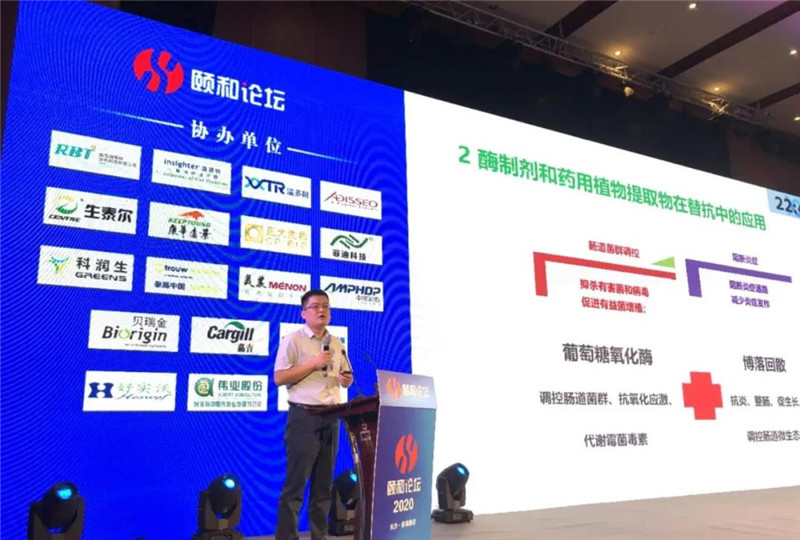 1599051826568135.jpg 04.jpg