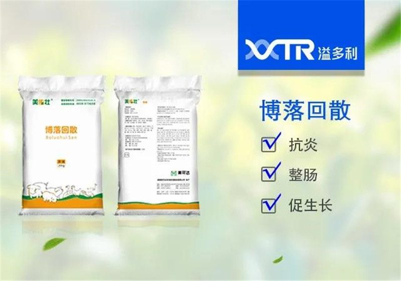 1599051995392710.jpg 06.jpg