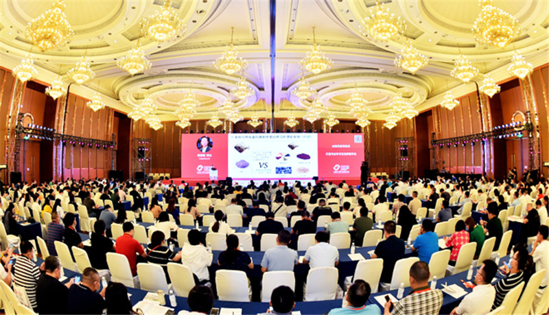 1599477412711171.jpg 未标题-2_副本.jpg