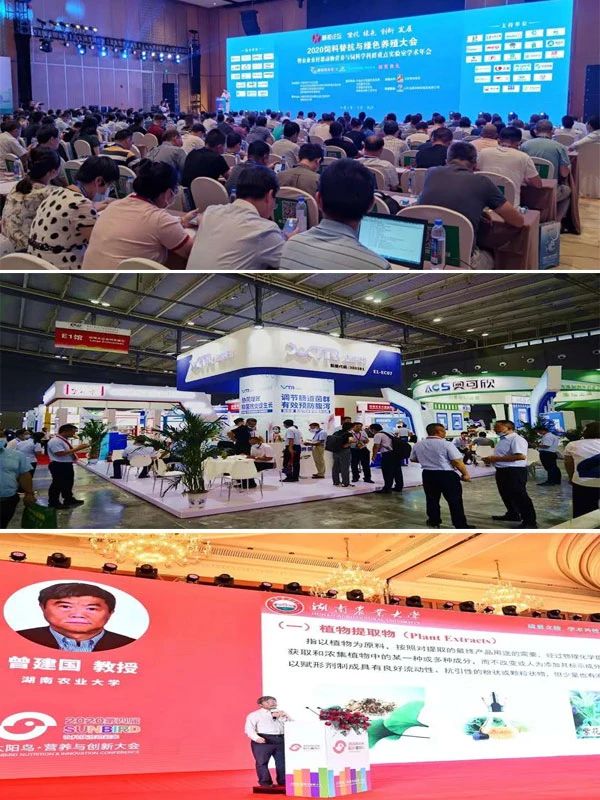 1603184017101168.jpg 展会.jpg