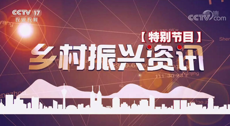 1603184047313350.jpg 乡村.jpg