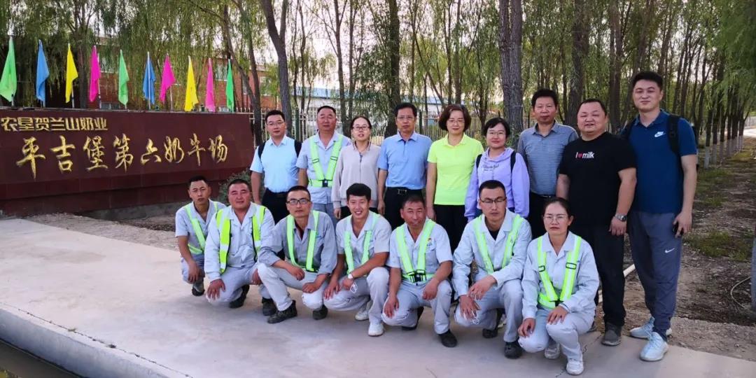 1604882595554936.jpg 03.jpg