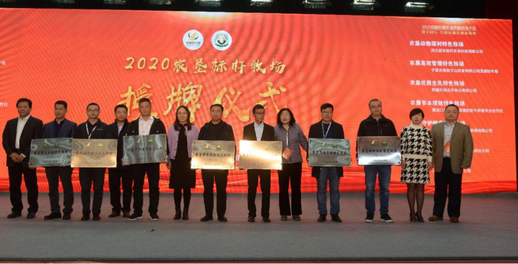 1604882628582855.png 04.png