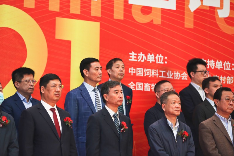 1618835168610633.jpg 089A8847.jpg