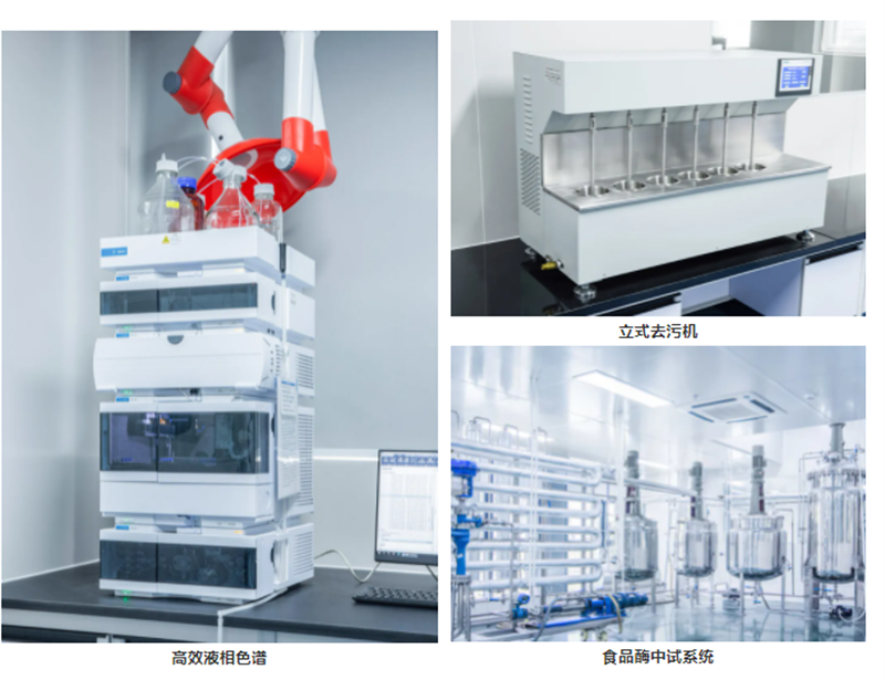 1631146097947384.png 拼图.png