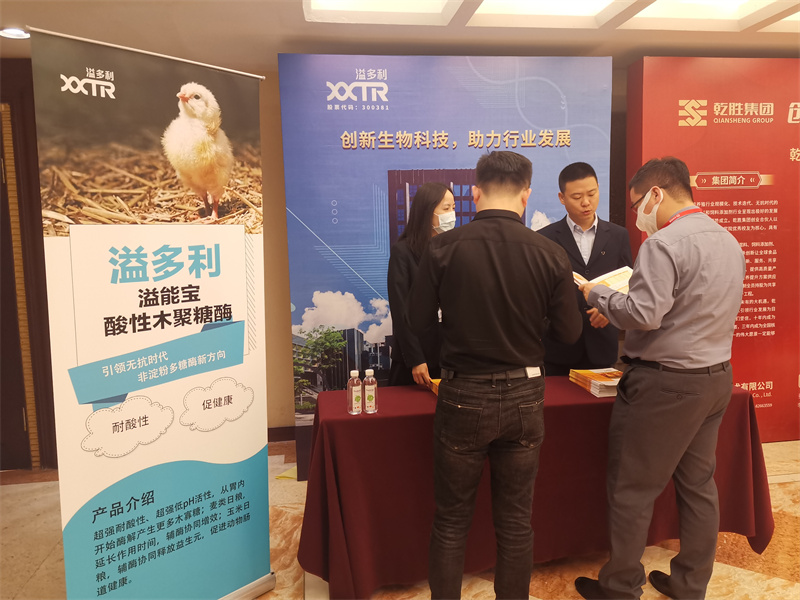 1635902486108347.jpg 溢多利站台.jpg