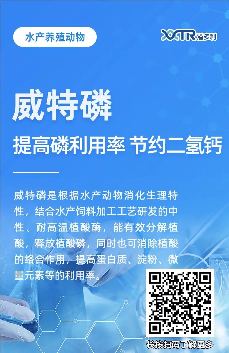 1648779385239802.jpg 005.jpg