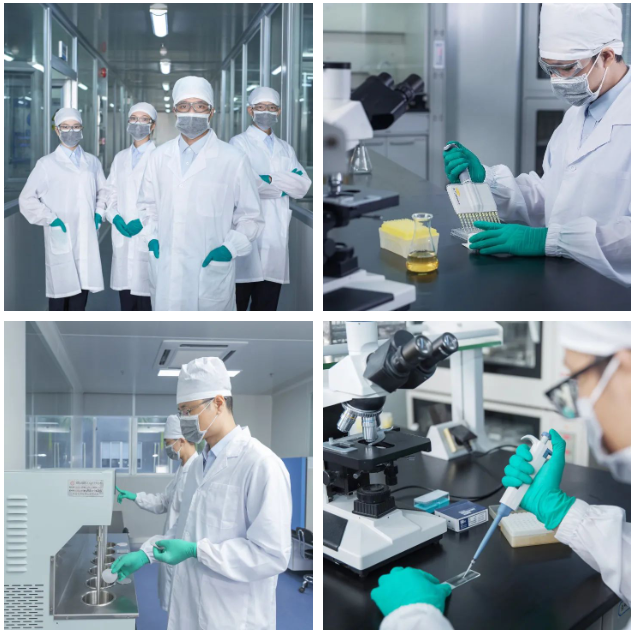 1650855582446364.png 04.png