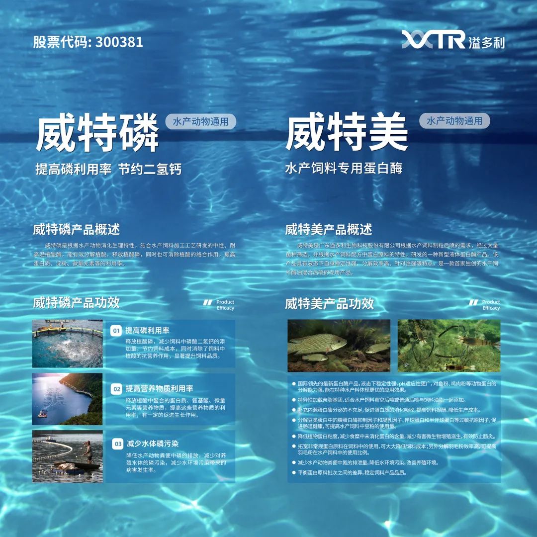 1650976577106286.jpg 08.jpg