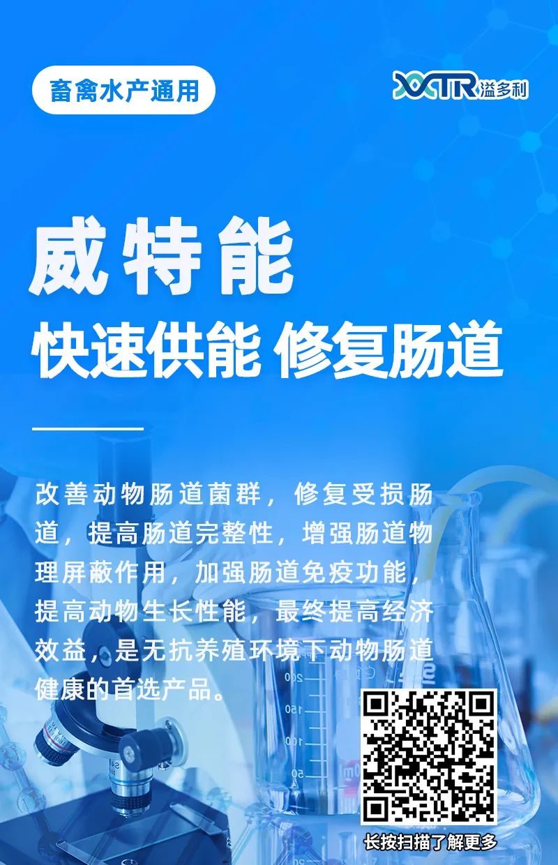 1651193100729138.jpg 04.jpg