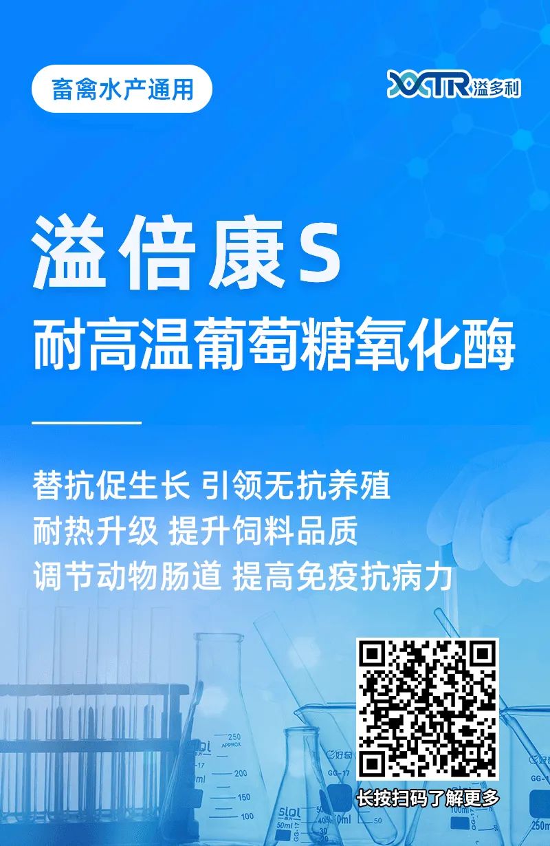 1651193129549784.jpg 05.jpg