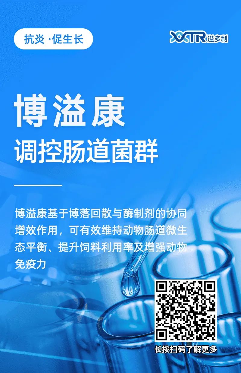 1651193176218126.jpg 07.jpg