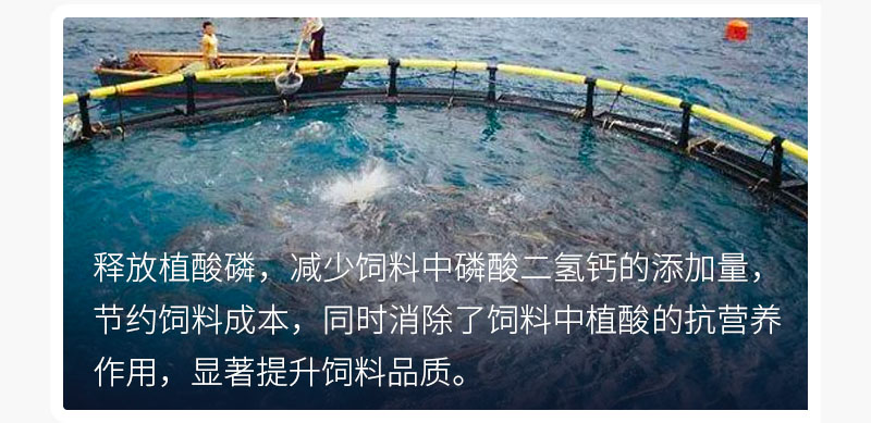 1653126456254214.jpg 1627303092957468.jpg