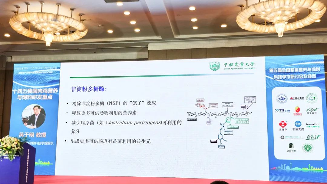 1661843559701907.jpg 03.jpg