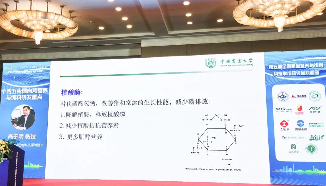 1661843563434046.jpg 04.jpg