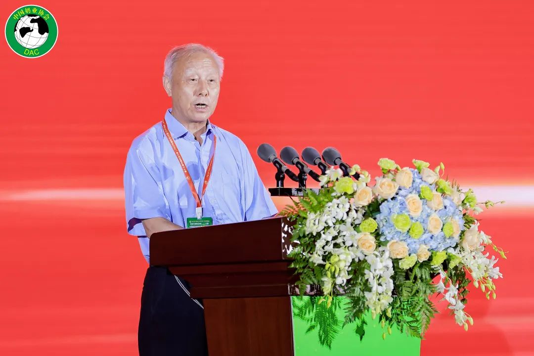 1663040939491803.jpg 04.jpg