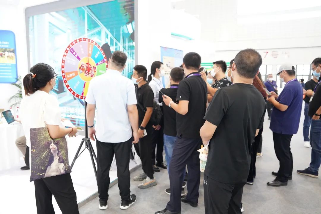 1663048243118738.jpg 10.jpg