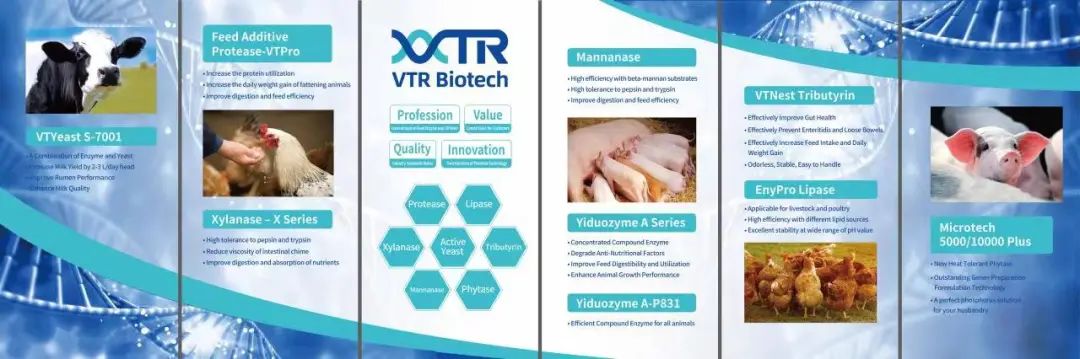 1675326928778095.jpg 02.jpg