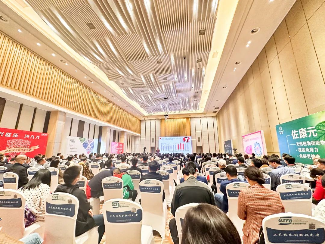 1676509006998284.jpg 01.jpg