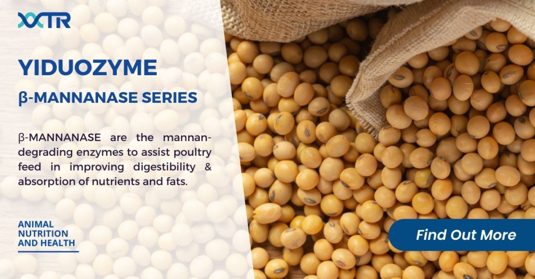 1676509796129310.png 06.png