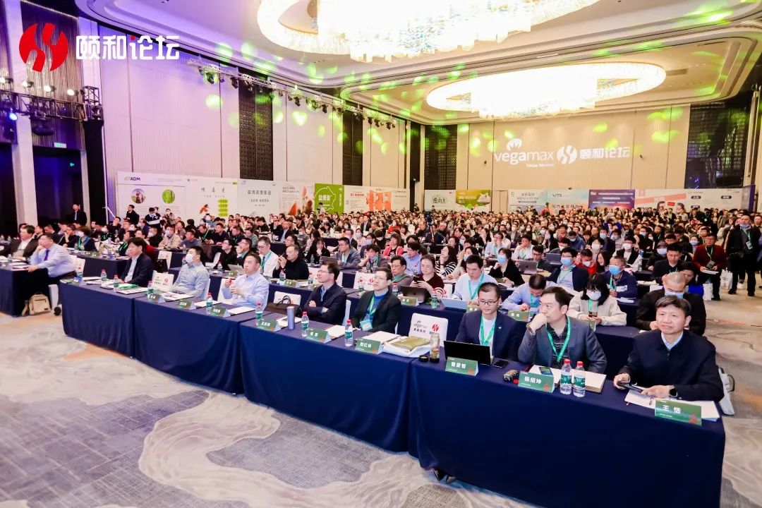 1680769374263286.jpg 02.jpg