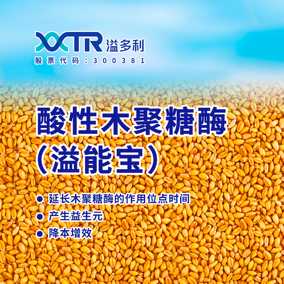 1680769417196396.png 04.png